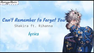 Can't Remember to Forget You - Shakira ft. Rihanna LYRICS (TikTok Song)