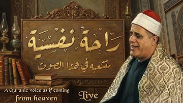 صوت ملائكي يخطف الأرواح 😢 آيات تفيض سكينة ونورًا ✨ | Emotional Quran Tilawah ​