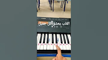 القلب يعشق كل جميل 