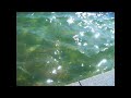 邂逅（demo）