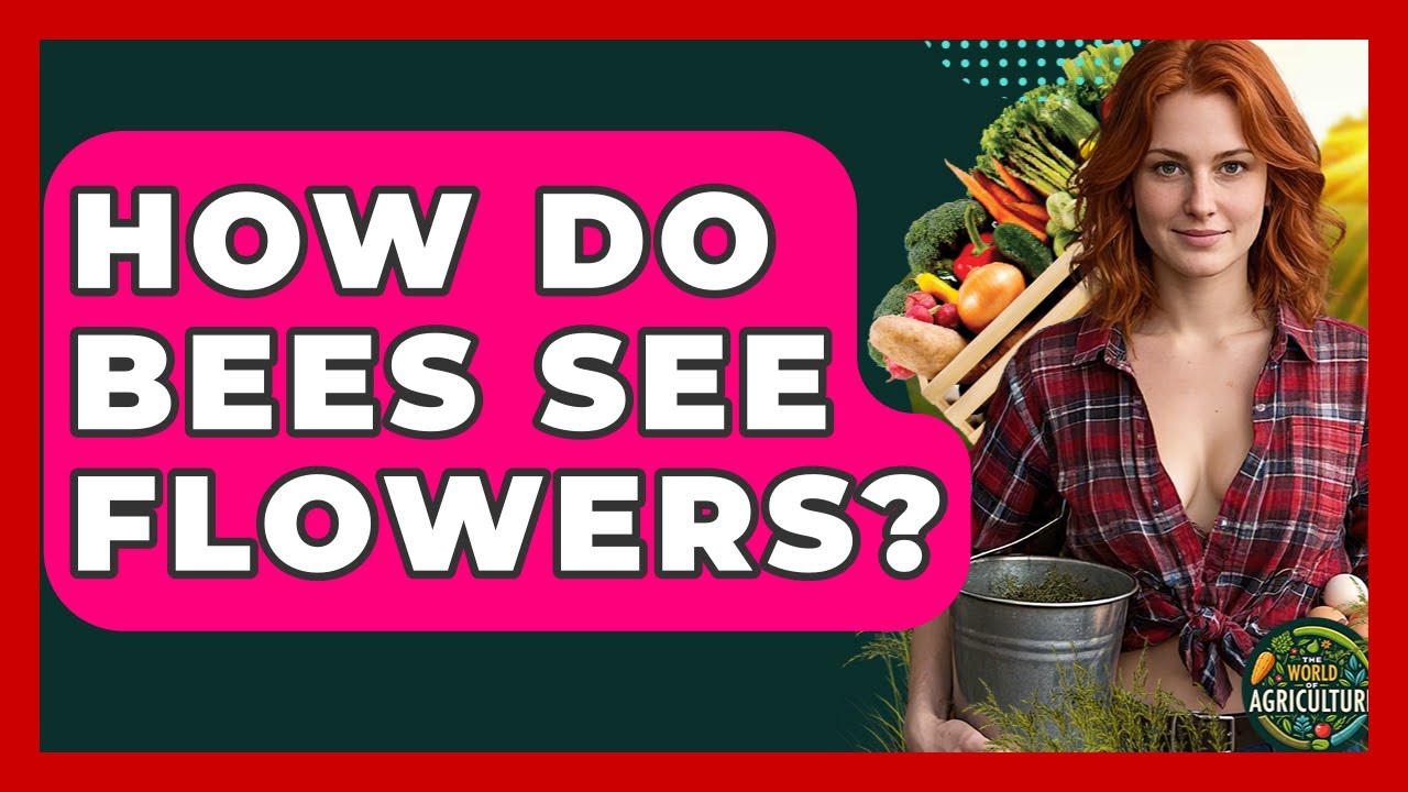 How Do Bees See Flowers? - The World of Agriculture