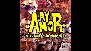 Mike Bahía Ft  Guaynaa y Ñejo – Ay Amor (AUDIO)