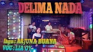 Arjuna buaya ( inul daratista) cover delima nada voc Lia oy