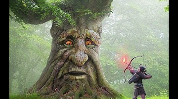 Wise Mystical Tree Music Garry