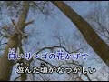 【帰ってこいよ】(重逢高雄港) 原唱:松村和子 / aTo翻唱
