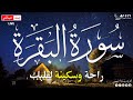 سورة البقرة طاردة الشياطين قران كريم بصوت جميل ومريح جدا تلاوة هادئة للنوم والراحة النفسية 