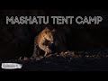 Amazing sightings and Mashatu Tent Camp | Episode 4