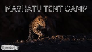 Amazing sightings and Mashatu Tent Camp | Episode 4