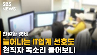 늘어나는 IT업계 선호도, 현직자 목소리 들어보니… / SBS / 친절한 경제