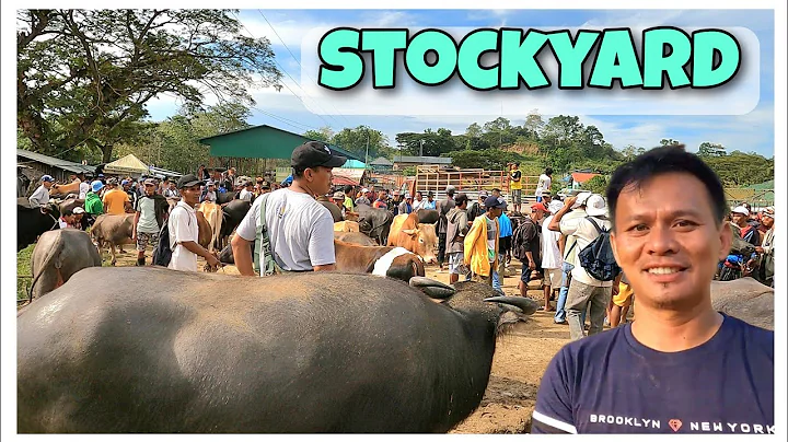 BINENTA NA NAMIN ANG ISANG CARABAO/STOCKYAR...  OR...