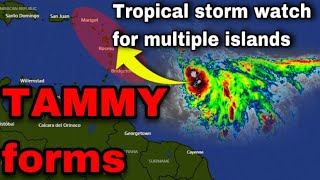 Breaking: Tropical Storm TAMMY forms, tropical storm watch in effect