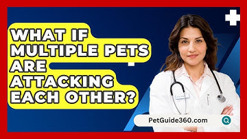 What If Multiple Pets Are Attacking Each Other? - PetGuide360.com