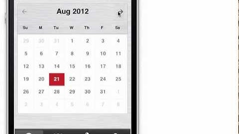 Codename One Chrome Demo & Theme