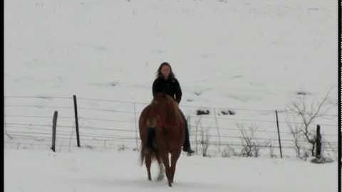 Valley View Ranch    - Pluto -        *For up-to-date info, price, etc., go to our website*