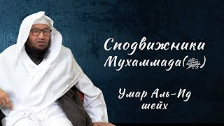 Сподвижники | Сильное напоминание! | Кто они cподвижники Пророка Мухаммада (ﷺ)? Шейх Умар аль-Ид