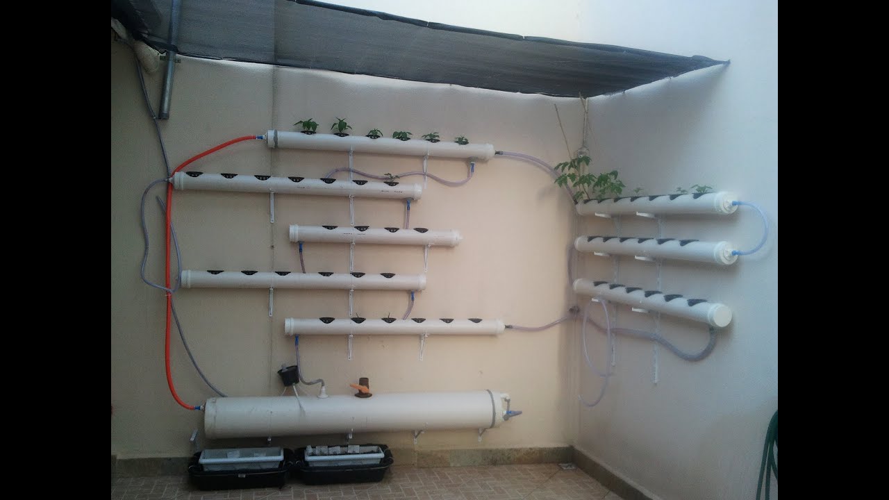 Horta Hidroponica autônoma movida a energia Solar YouTube Horta Hidroponica autônoma movida a energia Solar YouTube