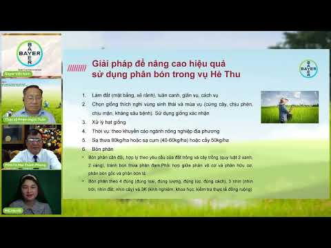 Video: Hạt giống chè: mô tả, đặc điểm cách gieo trồng và nảy mầm của hạt giống, cách chăm sóc, điều kiện trồng cây bụi, lời khuyên và khuyến nghị của bác sĩ chuyên khoa