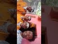 Abju Abjuu 