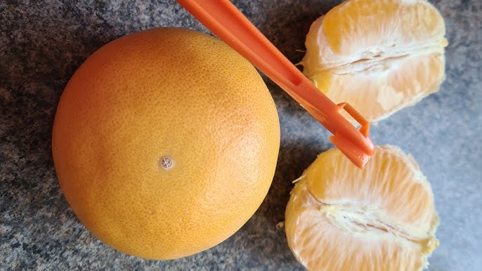 The RIGHT WAY to use a citrus peeler to peel an orange 