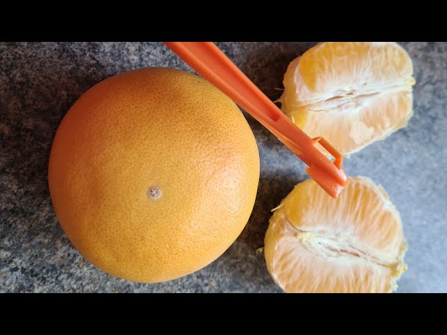 Household Orange Peeler – GizModern