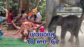 ข่าวนอกลู่ 18 พ.ค. 67 - ต้อนรับสมาชิกใหม่ สวนนงนุช จัดพิธีรับขวัญ 'พังเมษา' ช้างเชือกแรกของปี