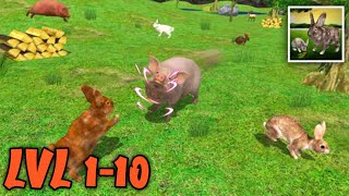 Ultimate Rabbit Simulator - Full Gameplay(LEVEL 1-10)|Android Gameplay screenshot 4