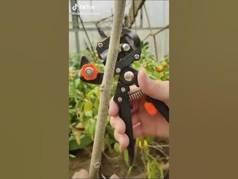 Профессиональный прививочный секатор Grafting Tool с 3 ножами для ...