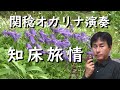 知床旅情(オカリナ演奏)関稔