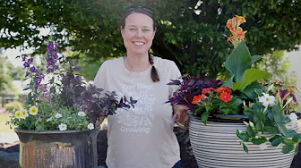 PETITTI | How to Design & Plant Annual Container Gardens with Spillers, Fillers & Thrillers