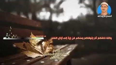 المنشاوي /قرآن كريم/تلاوة عطرة/ مقاطع قصيرة/ حالات واتساب دينية