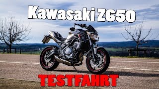 Kawasaki Z650 TEST | 48PS | Walkaround | Sluty