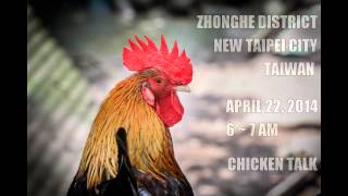 Sound of Taiwan__Chicken / 台灣之音__雞 screenshot 3