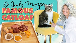 Making Catloaf with Dr. Judy Morgan by Dr. Judy Morgan’s Naturally Healthy Pets 1,483 views 2 weeks ago 4 minutes, 7 seconds