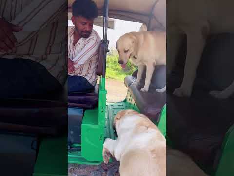 Watch till end 😂😂😂 #rishi_stylish_official