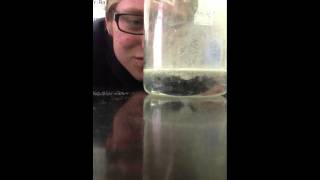 Block 5, Group 2 - Surface Area Experiment