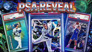 15 Card PSA Value Bulk Reveal! 80+% Gem Rates!!