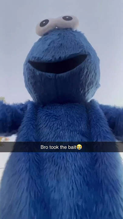 COOKIE MONSTER FREAKY💀