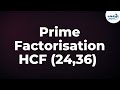 Prime Factorisation Method for Finding the HCF - Part 1 | Don't Memorise