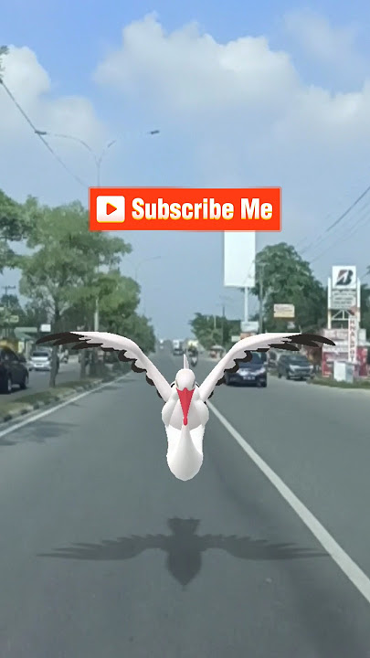 Pokemon in real life angsa terbang