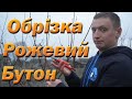 Обрізка персика по рожевому бутону. Обрізка коли змерзли плодові бруньки. Обрізка на веретено.