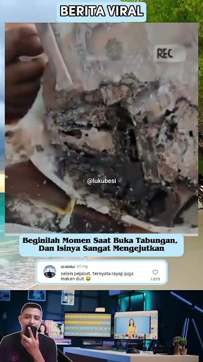 Eaten by termites #shorts #trending #shortvideo #viralvideo #viralshorts #viral #viralnews