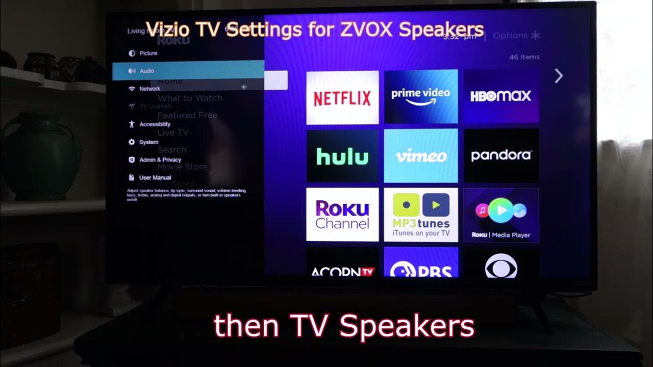 ZVOX AV120 Settings for Vizio Televisions YouTube