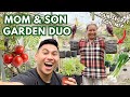 How to grow juicy TOMATOES &amp; GREEN ONION like a PRO! 🌱 Secrets to the perfect SOIL MIX
