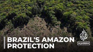 Brazil’s Amazon deforestation drops sharply in first half of 2023