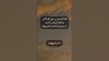 سورة القصص الآية ٢٩ و ٣٠ بصوت الشيخ محمد صديق المنشاوي