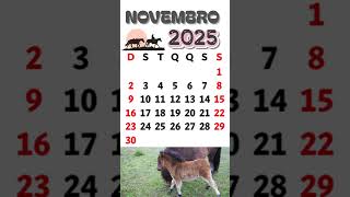 Calendário De Novembro De 2025
