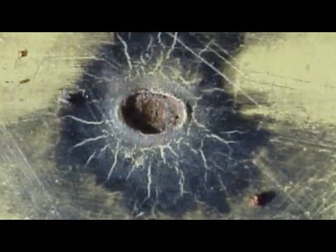 Earth Disaster is Coming | The Great Impact