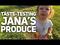 Taste-Testing Jana’s Produce