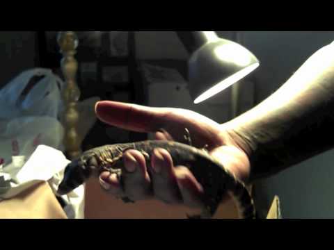 cbb het sulfur - 720p.mov