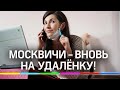 Каждый второй - на «удаленку». Коронавирус отправит офисных сотрудников по домам